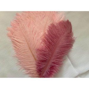 10 pieces | Dusty rose & Blush Pink Feathers Wedding Party for Centerpieces